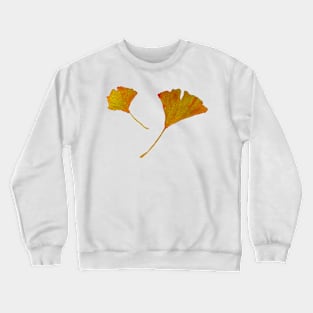 ginkgo biloba leaves in autumn Crewneck Sweatshirt